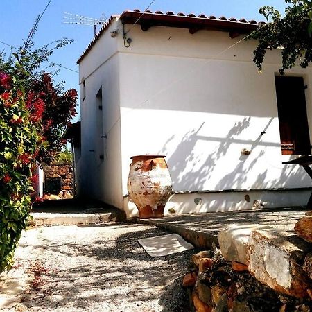 Afrodite'S House-Restaurated Oil Factory Αγιά Εξωτερικό φωτογραφία