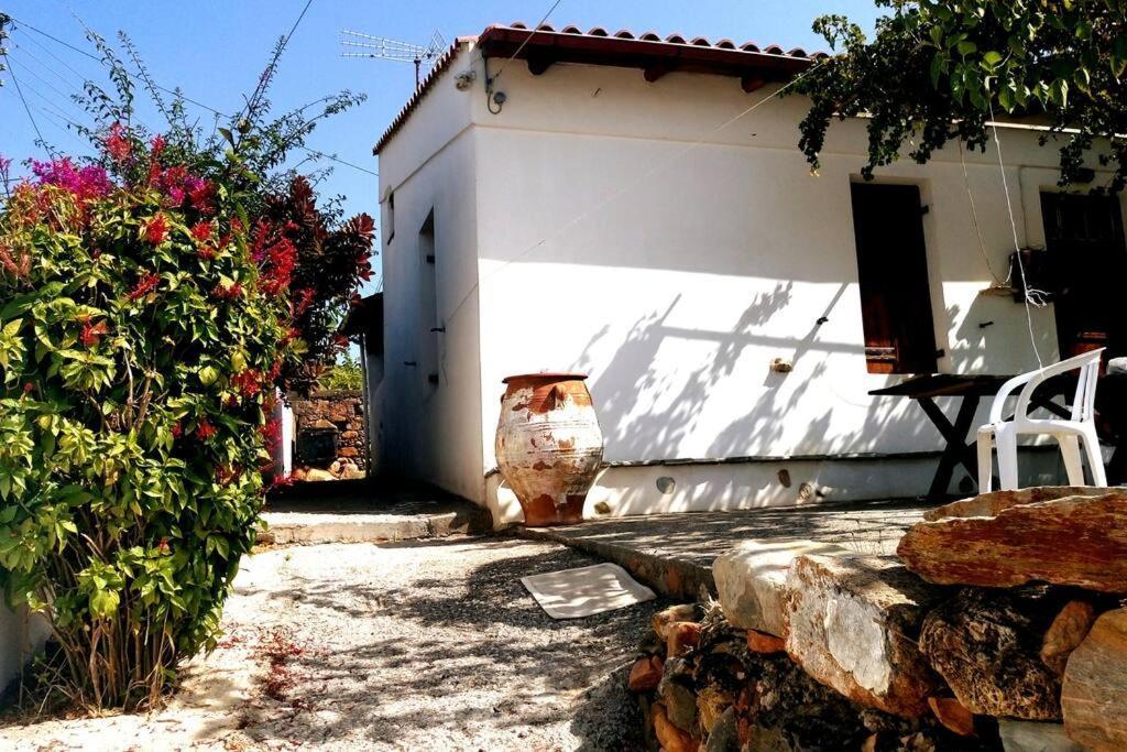 Afrodite'S House-Restaurated Oil Factory Αγιά Εξωτερικό φωτογραφία