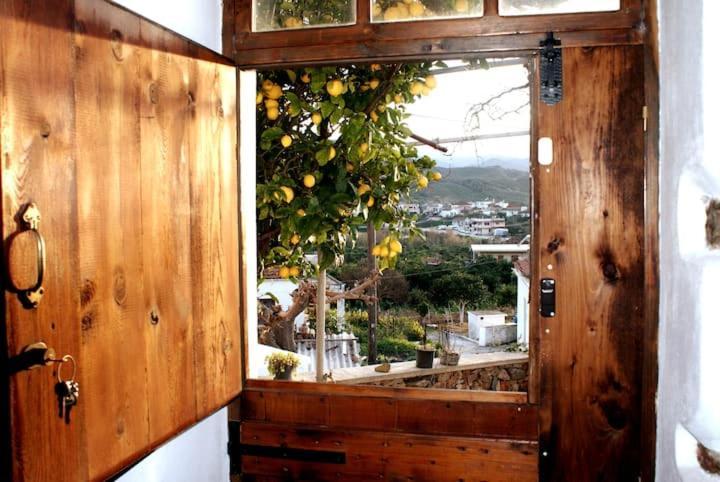 Afrodite'S House-Restaurated Oil Factory Αγιά Εξωτερικό φωτογραφία