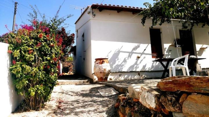 Afrodite'S House-Restaurated Oil Factory Αγιά Εξωτερικό φωτογραφία